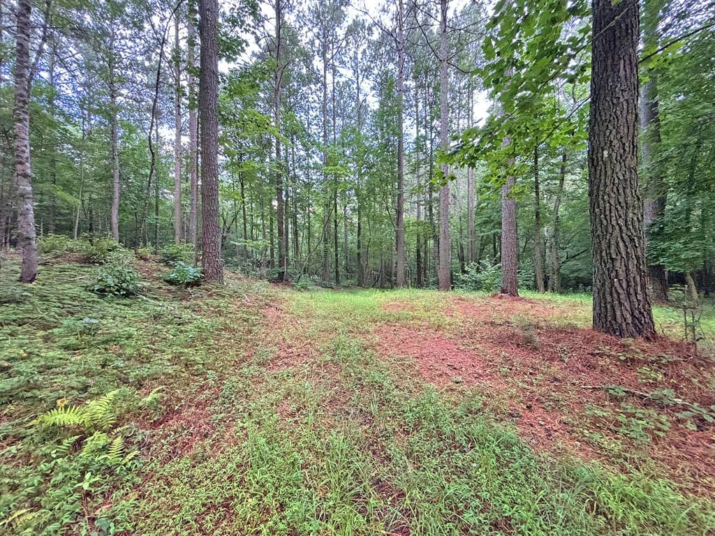 10AC Lovejoy Lane, Talking Rock GA 30175 - Photo