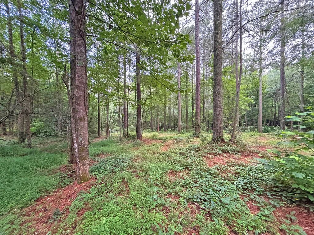 10AC Lovejoy Lane, Talking Rock GA 30175 - Photo