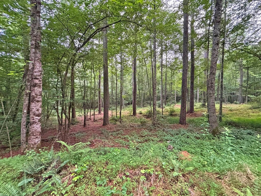 10AC Yonder Way, Talking Rock GA 30175 - Photo