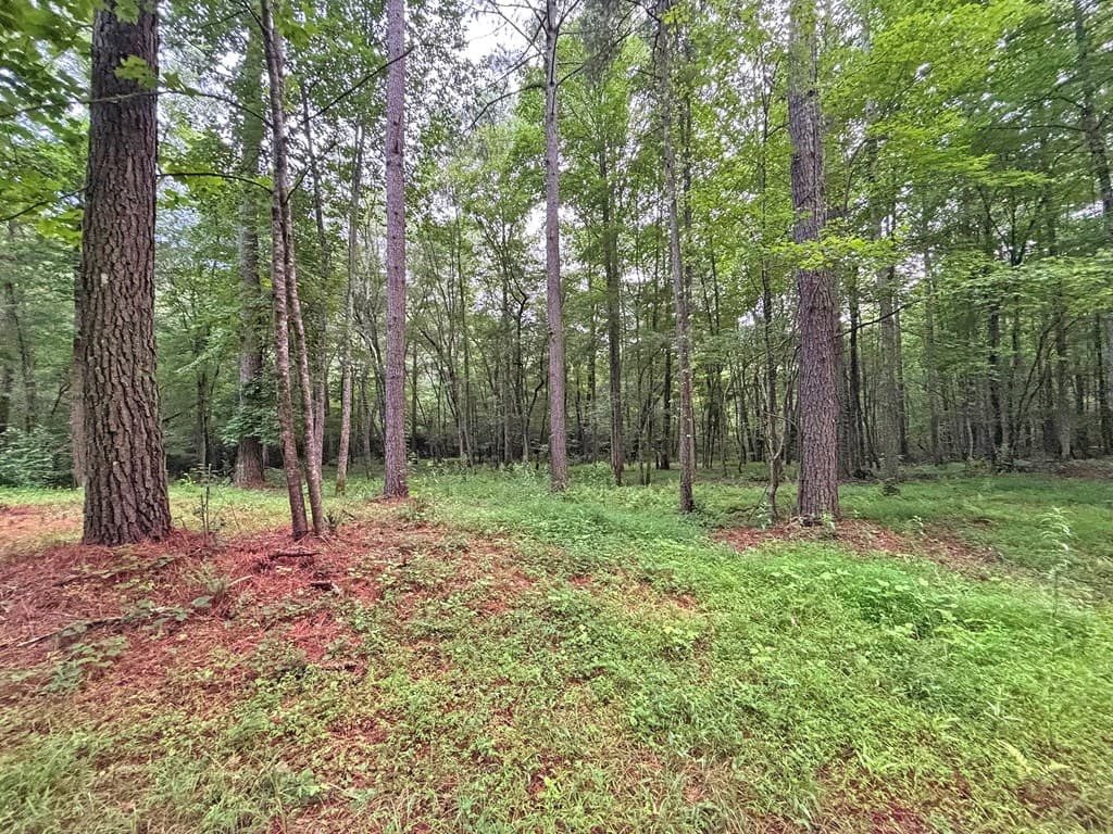 10AC Yonder Way, Talking Rock GA 30175 - Photo