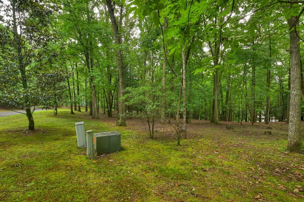 101 W D Court, Ellijay GA 30540 - Photo