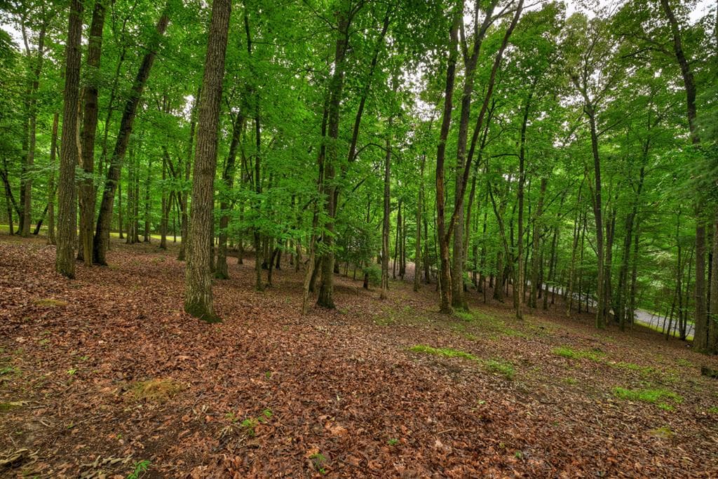 101 W D Court, Ellijay GA 30540 - Photo
