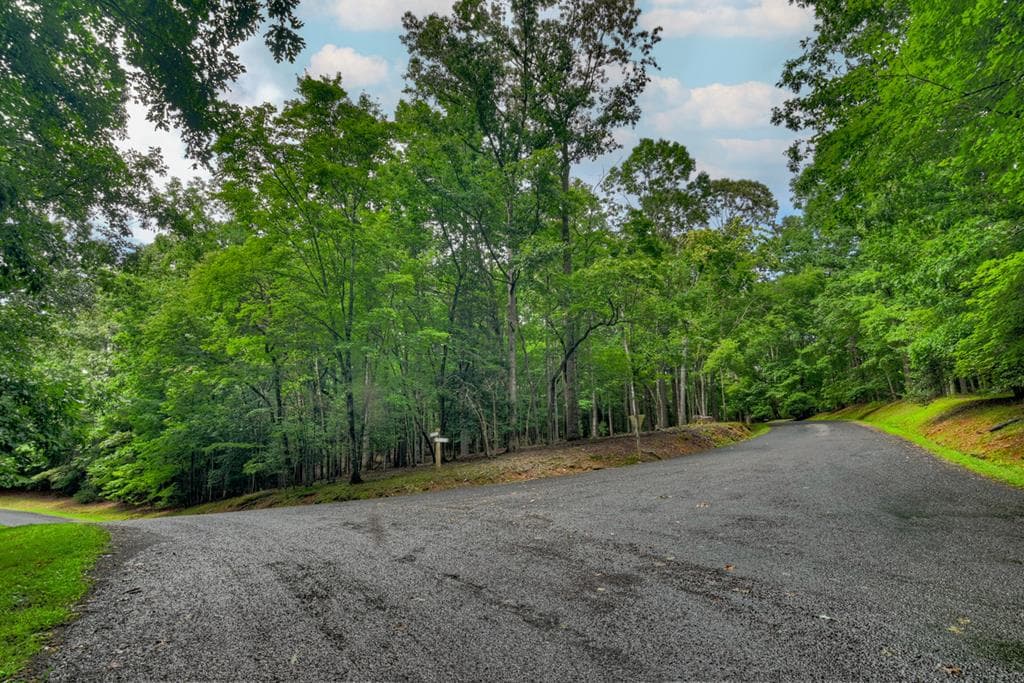 101 W D Court, Ellijay GA 30540 - Photo