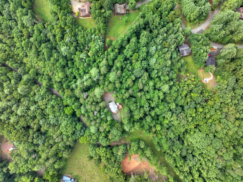 2 Watson Gap Road, Mineral Bluff GA 30559 - Photo