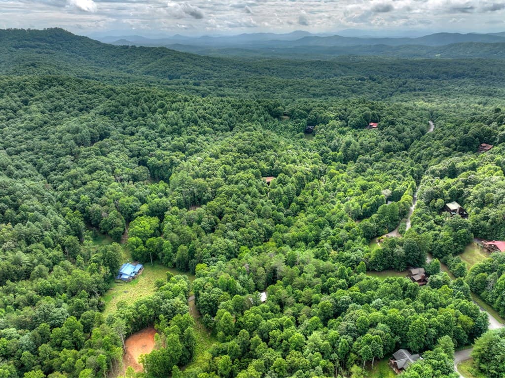 2 Watson Gap Road, Mineral Bluff GA 30559 - Photo