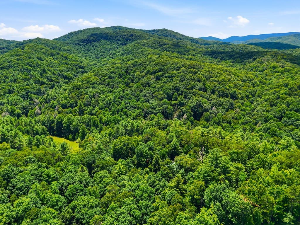 151 Hatchet Trail, Cherry Log GA 30522 - Photo