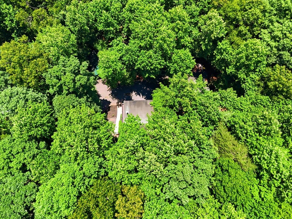 151 Hatchet Trail, Cherry Log GA 30522 - Photo