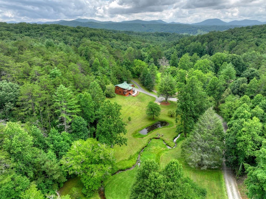 355 Happy Valley Lane, Morganton GA 30560 - Photo
