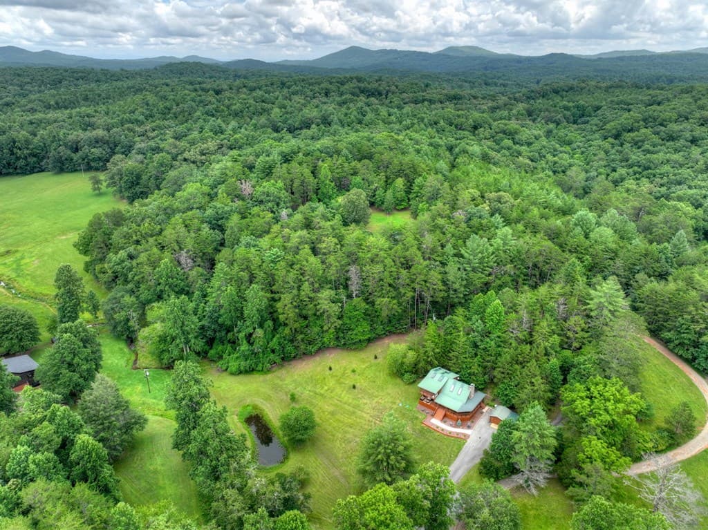 355 Happy Valley Lane, Morganton GA 30560 - Photo