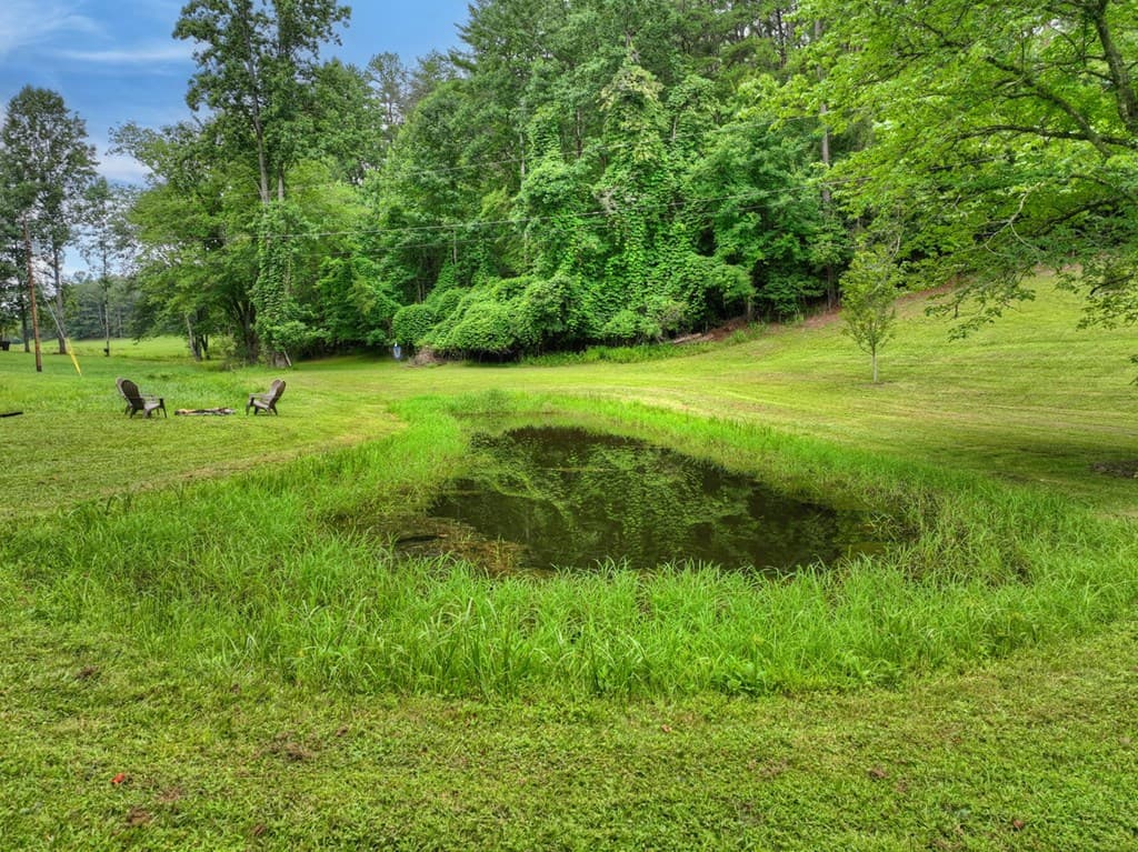 355 Happy Valley Lane, Morganton GA 30560 - Photo