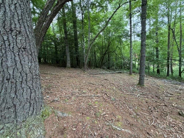 Lot 25 Bentwood Trail, Morganton GA 30560 - Photo