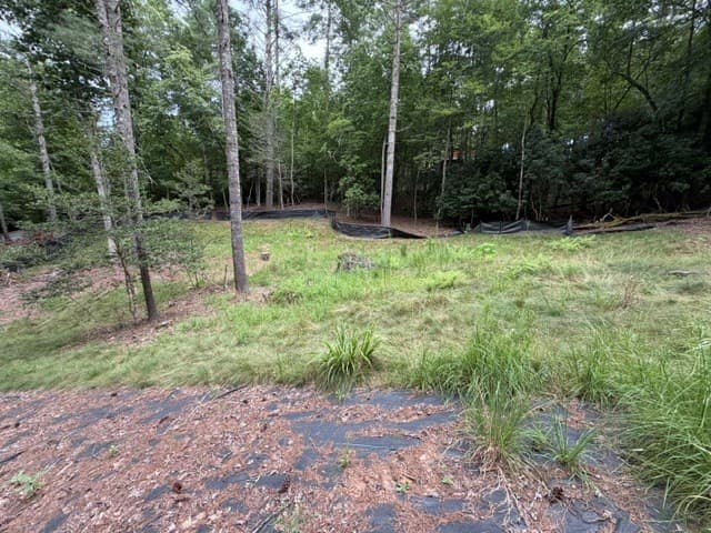 Lot 25 Bentwood Trail, Morganton GA 30560 - Photo