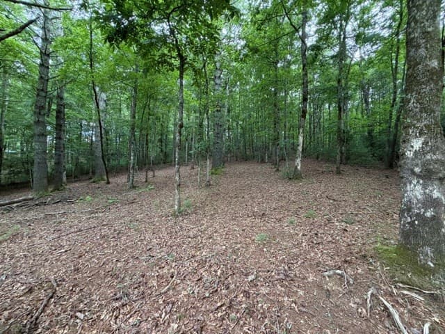 Lot 25 Bentwood Trail, Morganton GA 30560 - Photo