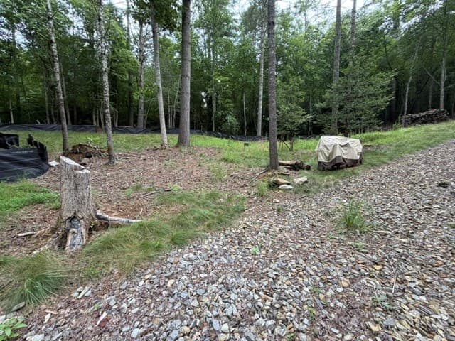 Lot 25 Bentwood Trail, Morganton GA 30560 - Photo