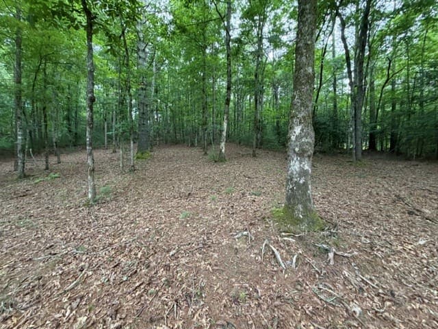 Lot 25 Bentwood Trail, Morganton GA 30560 - Photo