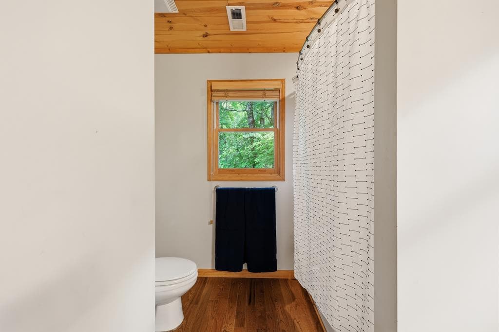 161 Arbor Way, Blue Ridge GA 30513 - Photo