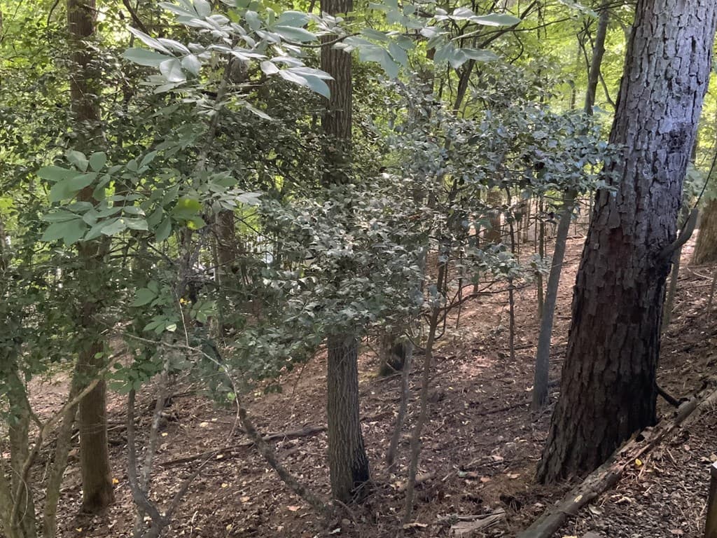 176 14th Street, Ellijay GA 30540 - Photo