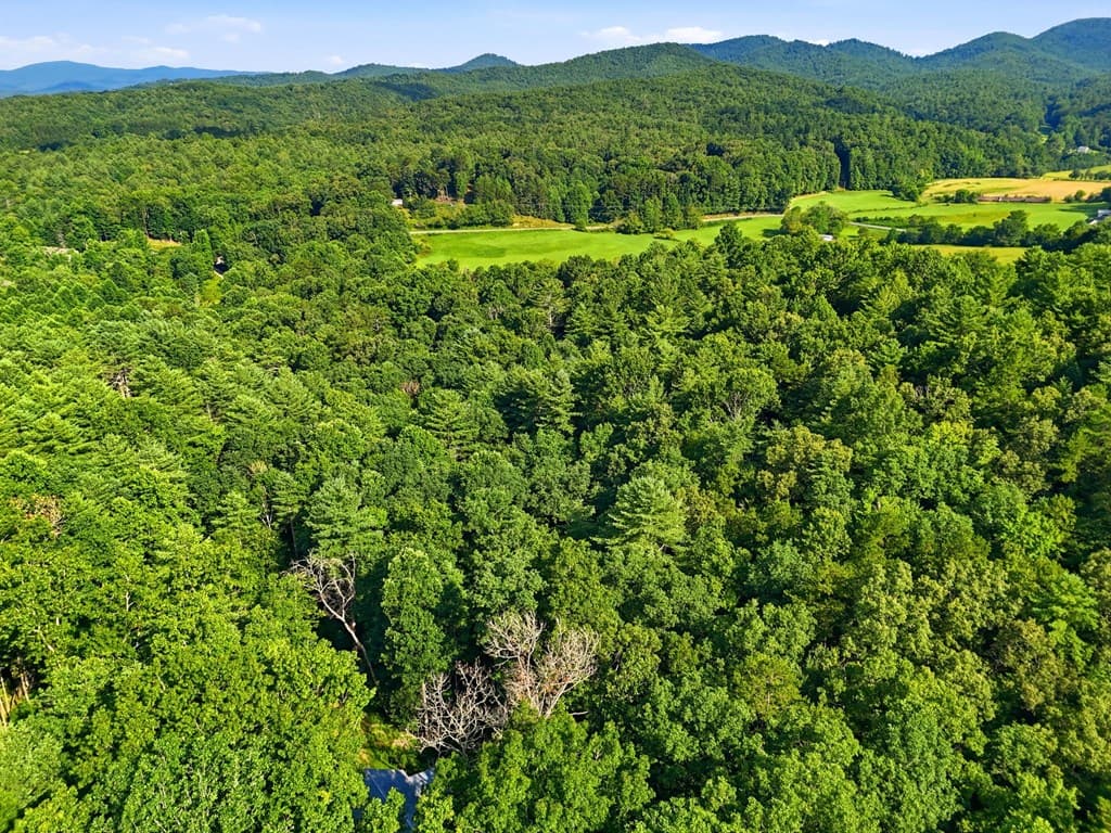 50 Pigeon Creek Road, Blue Ridge GA 30513 - Photo