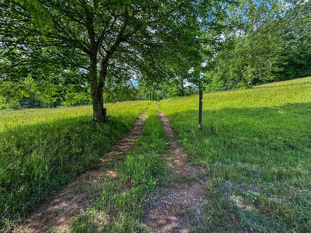 239 Glenn Elliott Road, Suches GA 30572 - Photo