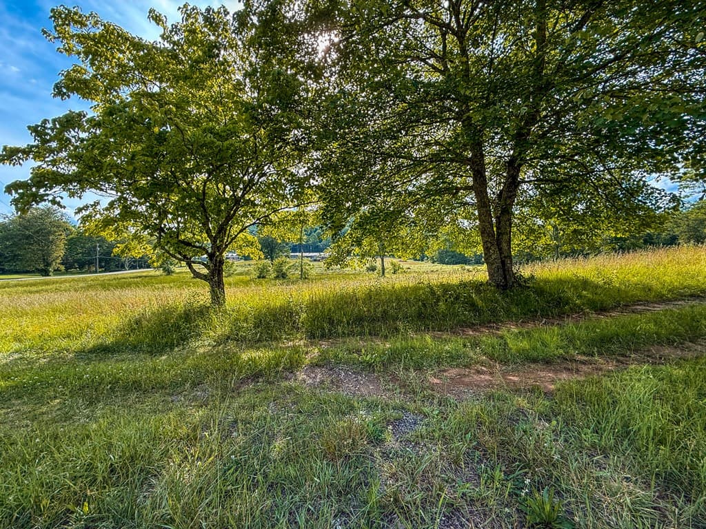 239 Glenn Elliott Road, Suches GA 30572 - Photo