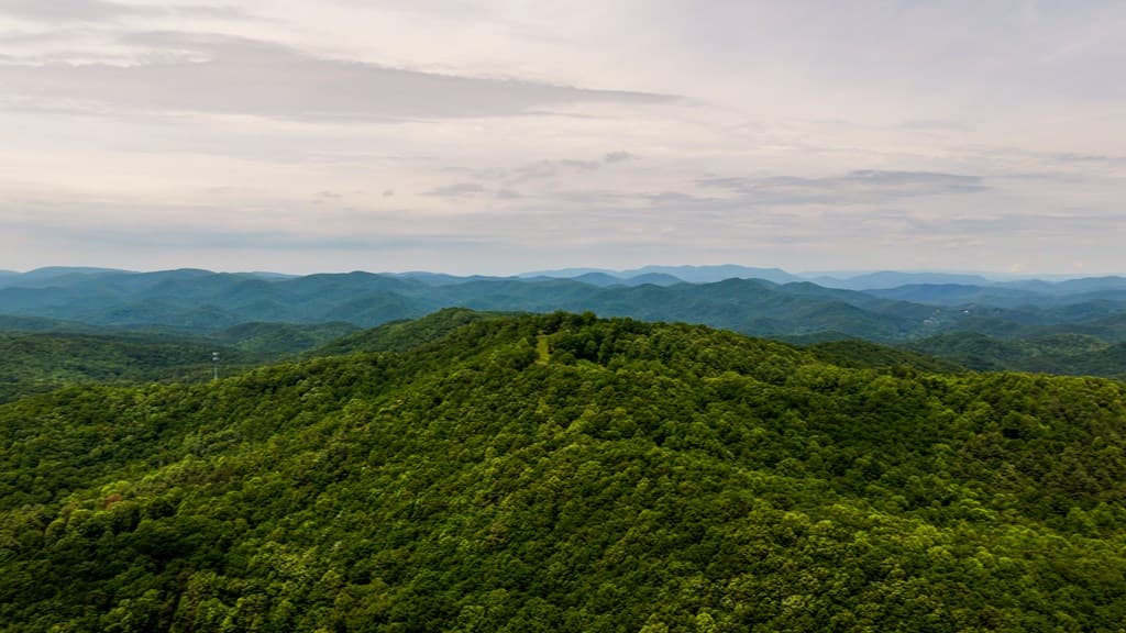 239 Glenn Elliott Road, Suches GA 30572 - Photo