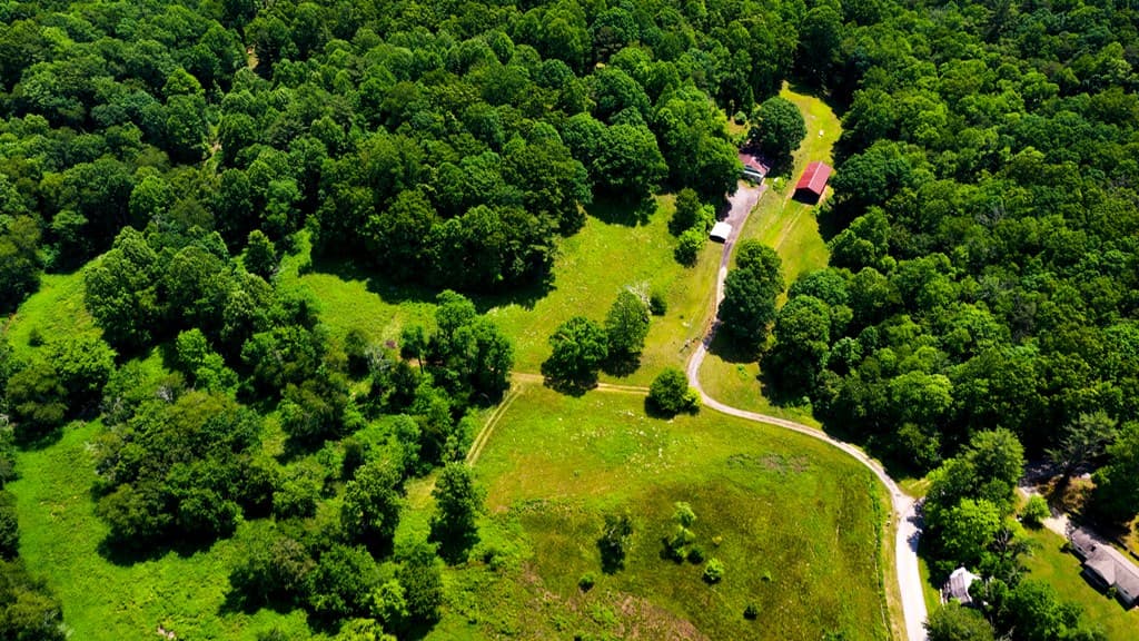 239 Glenn Elliott Road, Suches GA 30572 - Photo