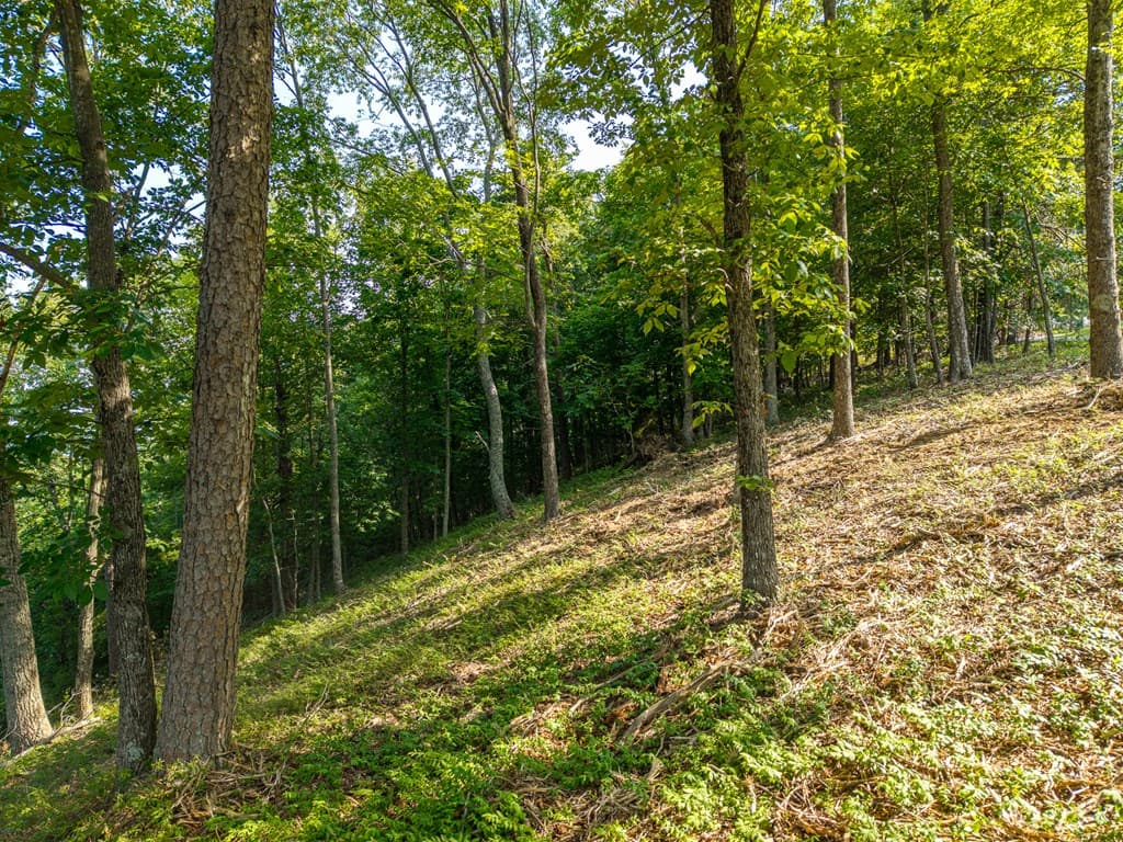 294 Adair Drive, Ranger GA 30734 - Photo