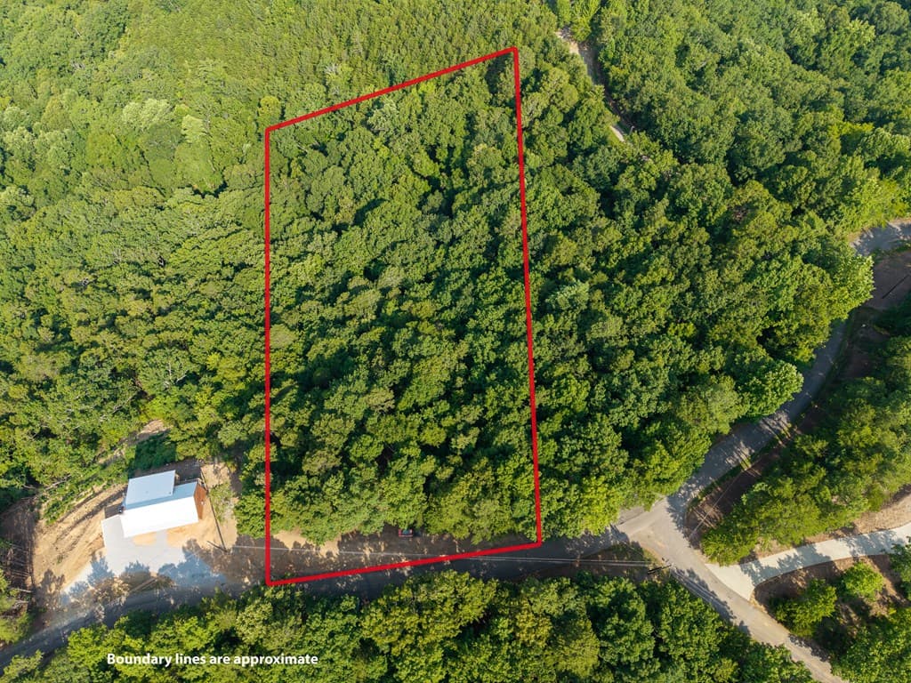 294 Adair Drive, Ranger GA 30734 - Photo