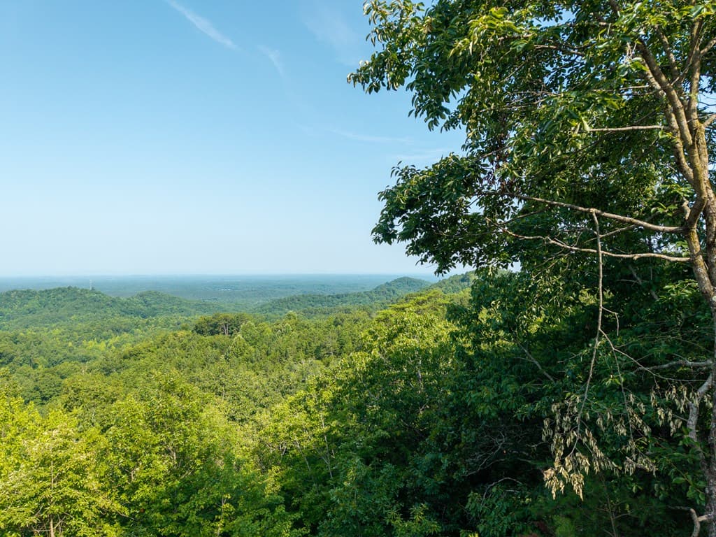 294 Adair Drive, Ranger GA 30734 - Photo