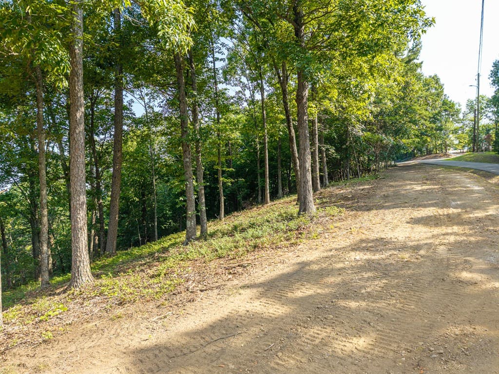 294 Adair Drive, Ranger GA 30734 - Photo
