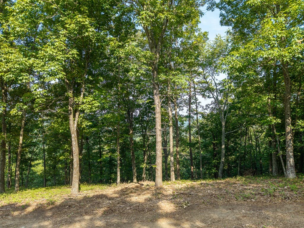 294 Adair Drive, Ranger GA 30734 - Photo