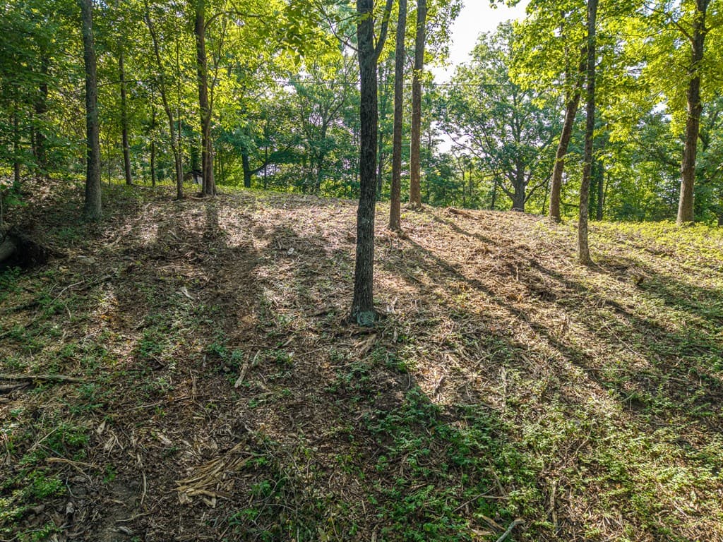 294 Adair Drive, Ranger GA 30734 - Photo