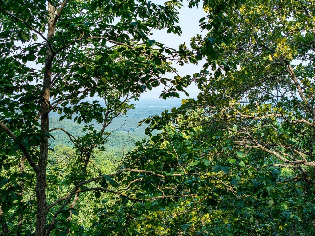 294 Adair Drive, Ranger GA 30734 - Photo