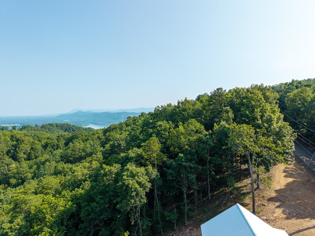 294 Adair Drive, Ranger GA 30734 - Photo