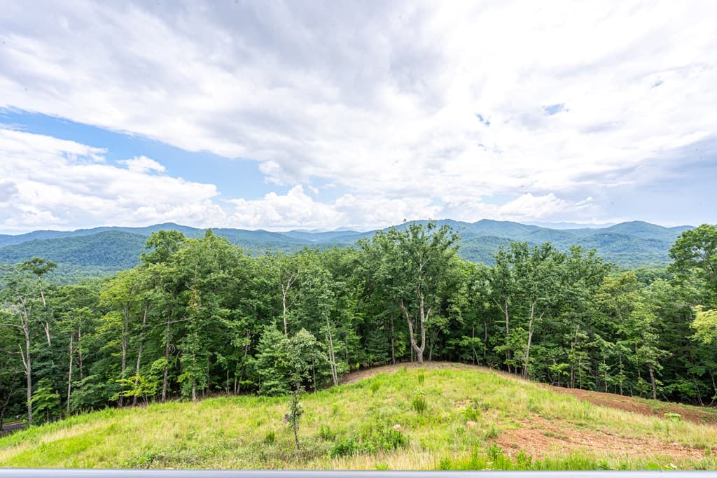629 Peaks Drive, Hayesville NC 28904 - Photo