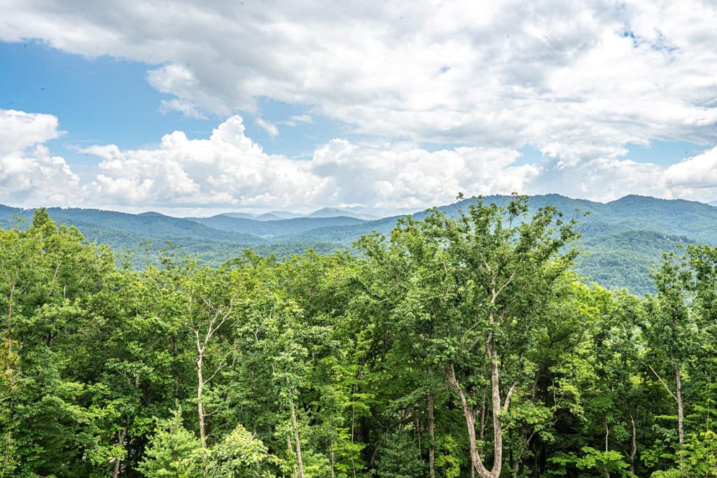 629 Peaks Drive, Hayesville NC 28904 - Photo