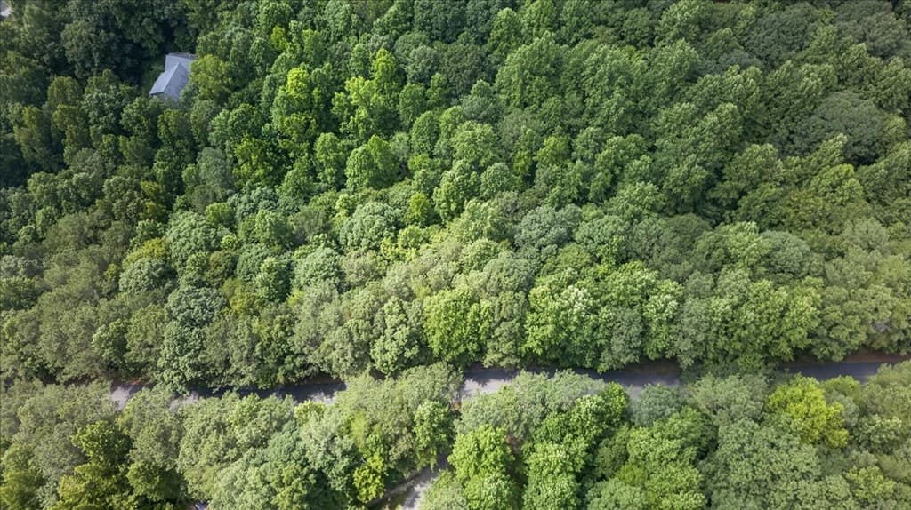 0 LOT 67 Ginger Drive, Jasper GA 30143 - Photo