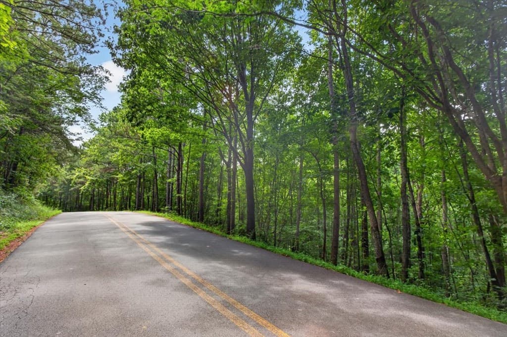 0 LOT 67 Ginger Drive, Jasper GA 30143 - Photo