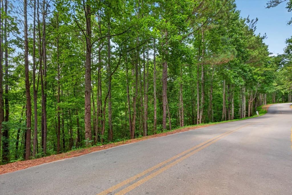 0 LOT 68 Ginger Drive, Jasper GA 30143 - Photo