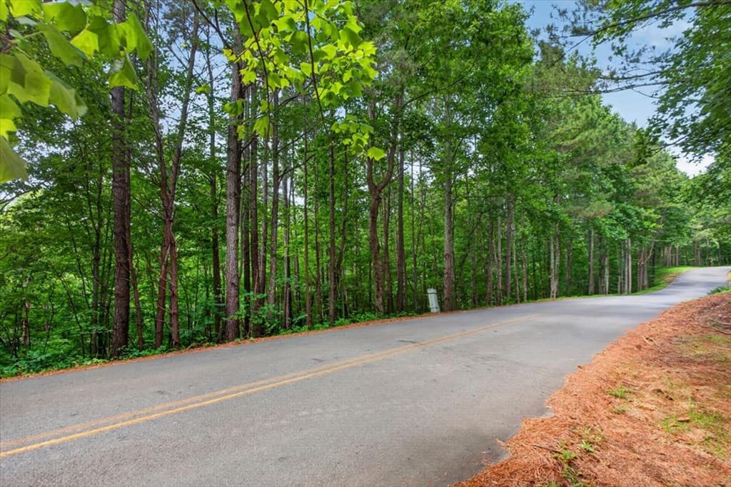 0 LOT 68 Ginger Drive, Jasper GA 30143 - Photo
