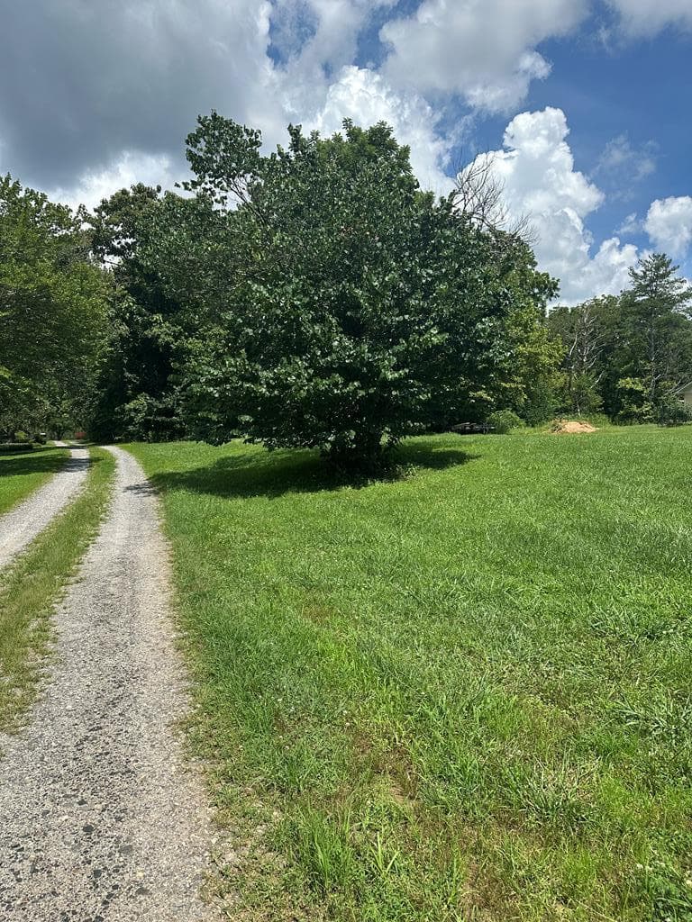 TBD Qualla Terrace, Hayesville NC 28904 - Primary photo