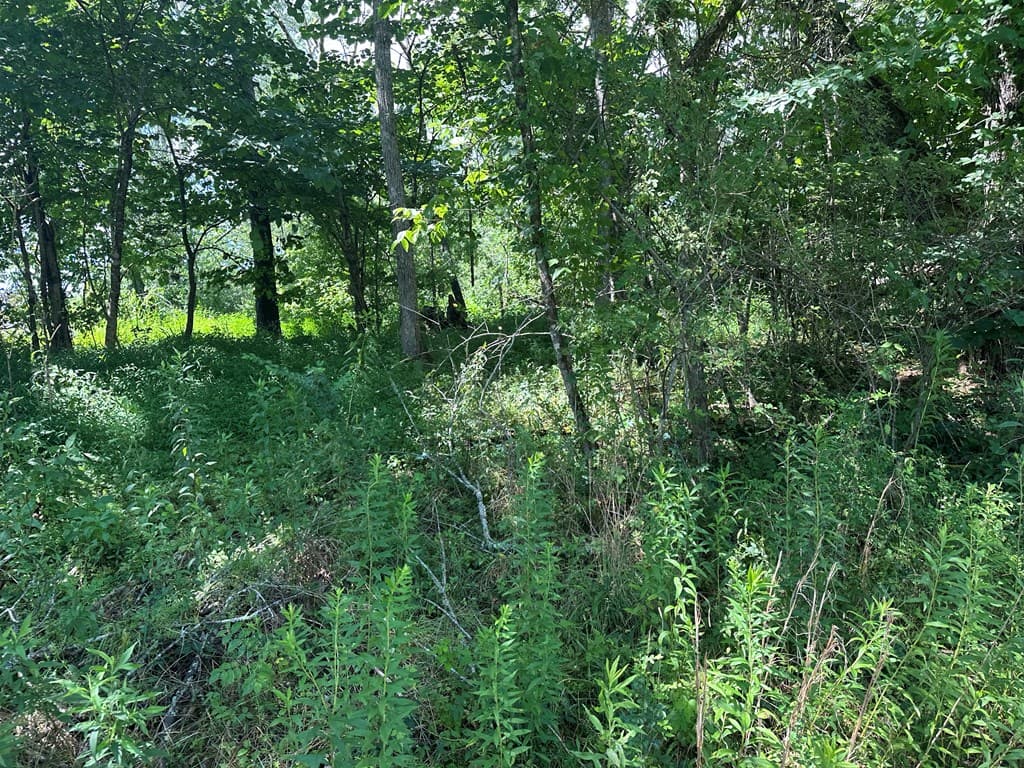 TBD Qualla Terrace, Hayesville NC 28904 - Photo