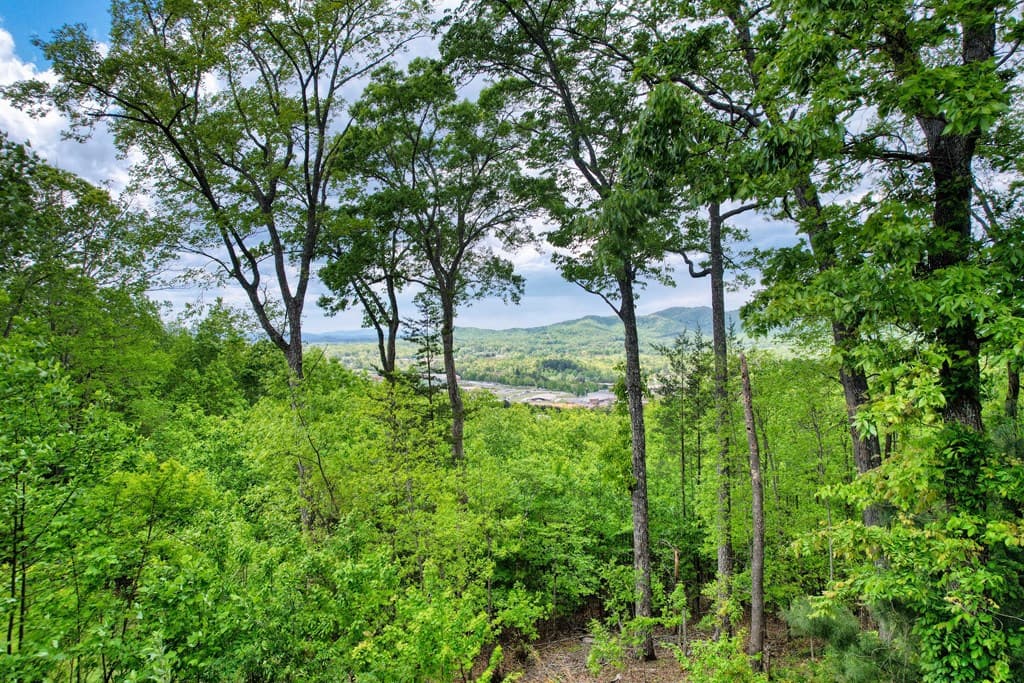 911 Summit Way, Blairsville GA 30512 - Photo