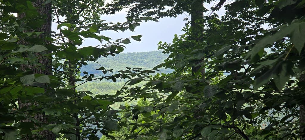 Lot 7 Scouts Overlook, Morganton GA 30560 - Photo