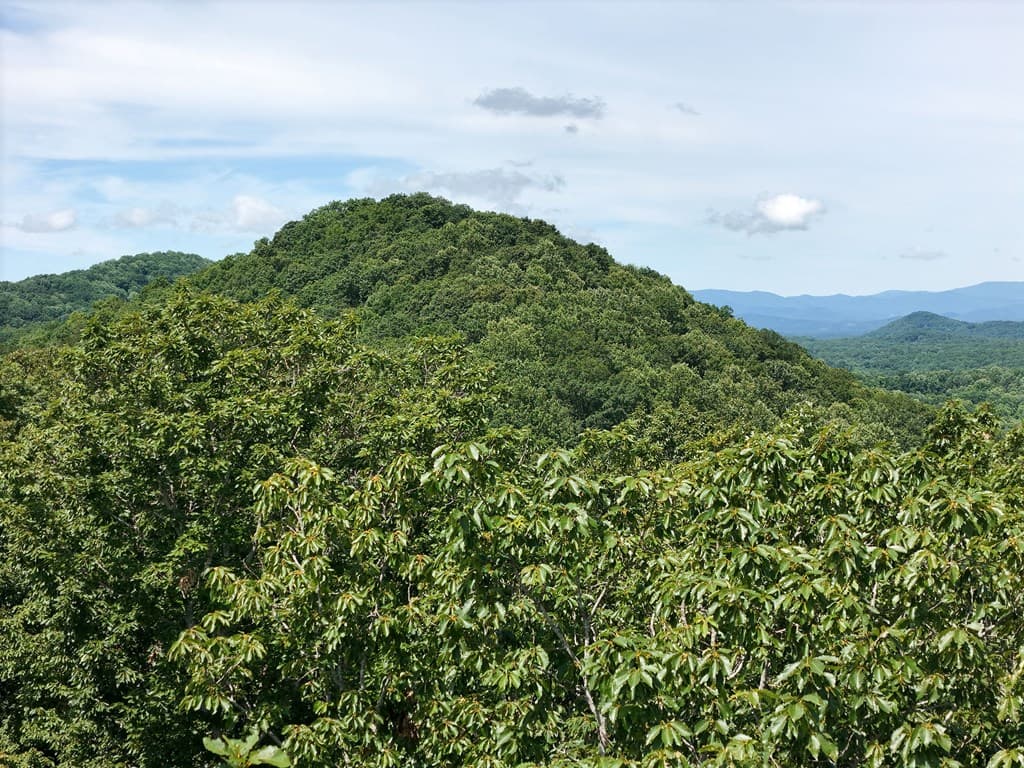 Lot 7 Scouts Overlook, Morganton GA 30560 - Photo
