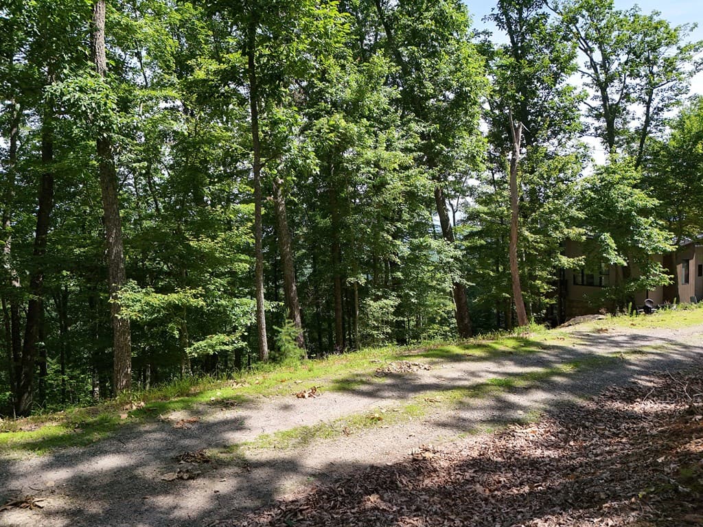 Lot 7 Scouts Overlook, Morganton GA 30560 - Photo