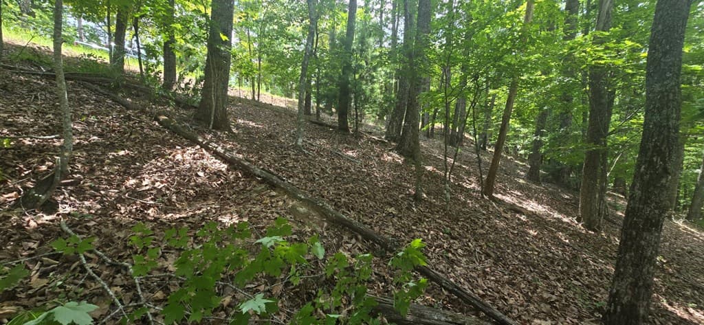 Lot 7 Scouts Overlook, Morganton GA 30560 - Photo