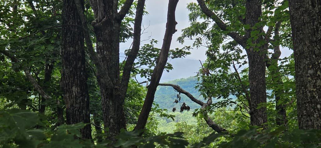 Lot 7 Scouts Overlook, Morganton GA 30560 - Photo
