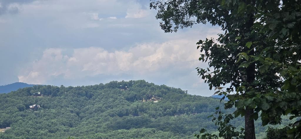 Lot 7 Scouts Overlook, Morganton GA 30560 - Primary photo