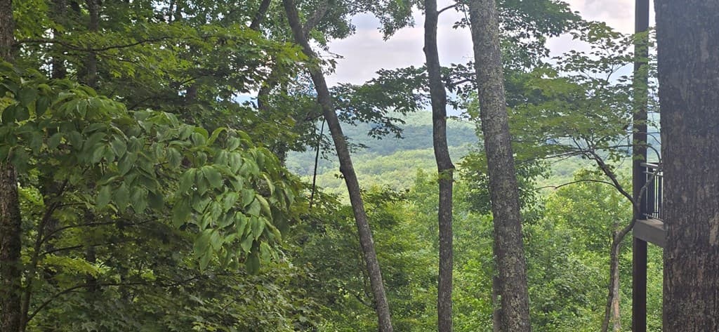 Lot 7 Scouts Overlook, Morganton GA 30560 - Photo
